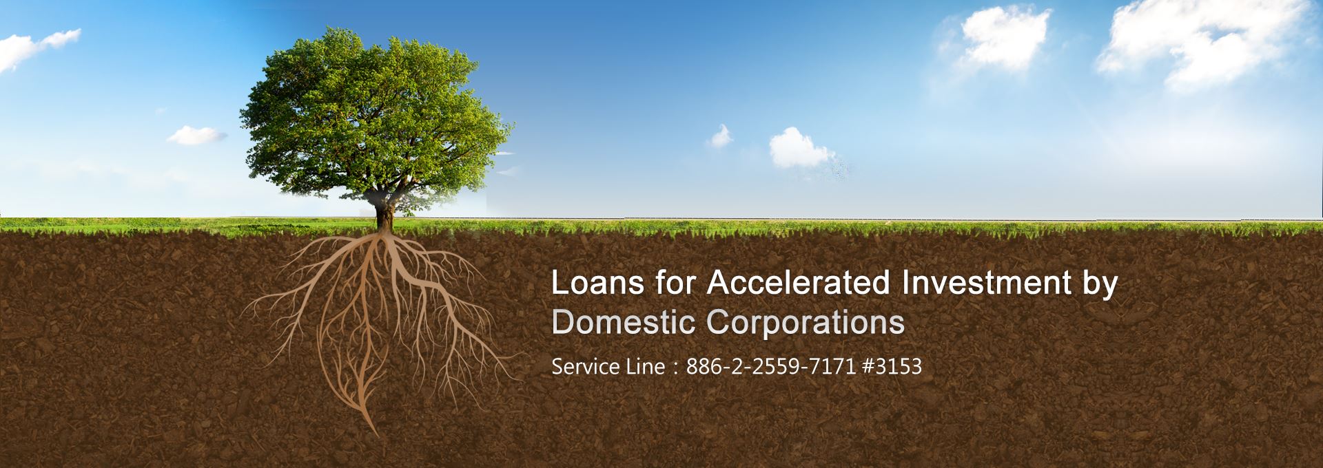 Loans for Accelerated Investment by Domestic Corporations