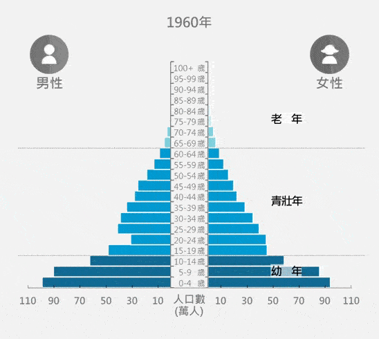 人口金字塔和扶養比-109年版
